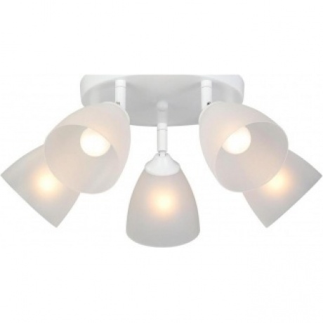 Люстра V4355-0/5PL, 5xE14 макс. 40Вт, плафон ПП
Люстра V4355-0/5PL, 5xE14 макс. 40Вт, плафон ПП