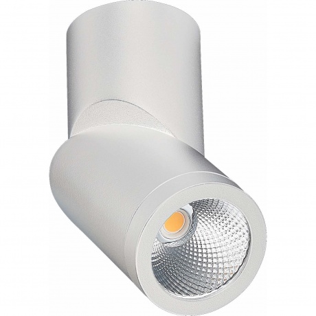 ST650.532.10 Светильник потолочный Белый LED 1*10W 3000K 800LmRa
ST650.532.10 Светильник потолочный Белый LED 1*10W 3000K 800LmRa