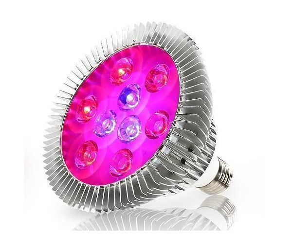 Лампа светодиодная для растений R-Led Полный спектр E27 27W
Лампа светодиодная для растений R-Led Полный спектр E27 27W