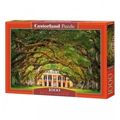 Пазл Castorland 1000 арт.C-104383 "Дубовая аллея"
Пазл Castorland 1000 арт.C-104383 "Дубовая аллея"