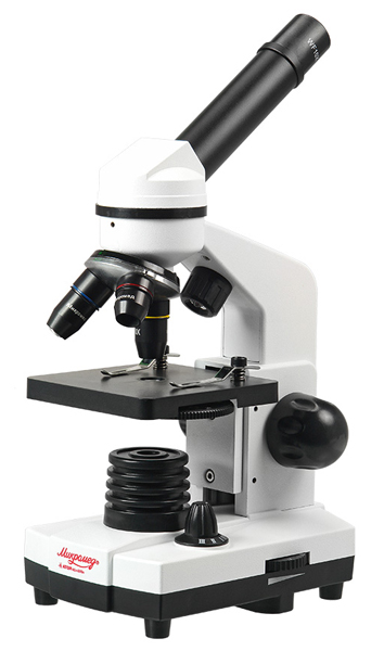 Микроскоп Микромед «Атом» 40x-800x, в кейсе
Микроскоп Микромед «Атом» 40x-800x, в кейсе