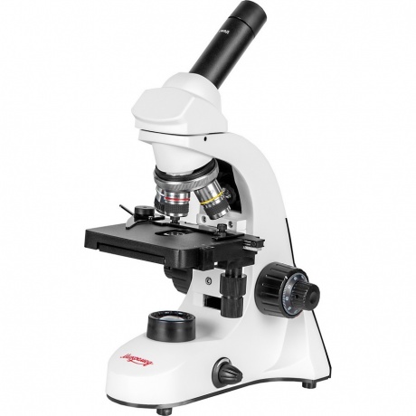 Микроскоп биологический Микромед С-11 (вар. 3B) цифровой в кейсе
Микроскоп биологический Микромед С-11 (вар. 3B) цифровой в кейсе