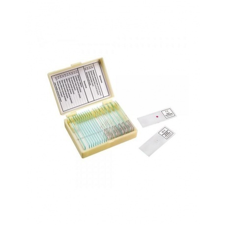 Набор препаратов "Ботаника и зоология" (14 обр.)
Набор препаратов "Ботаника и зоология" (14 обр.)