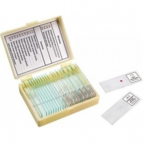 Набор препаратов "Ботаника и зоология" (14 обр.)
Набор препаратов "Ботаника и зоология" (14 обр.)