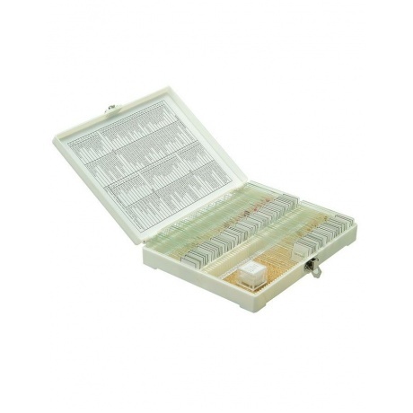 Набор готовых микропрепаратов Микромед №80
Набор готовых микропрепаратов Микромед №80