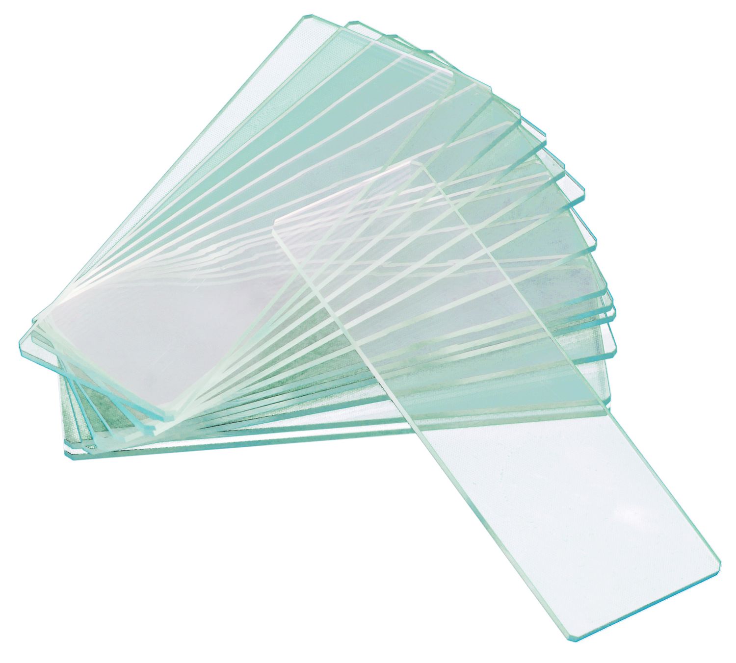 Стекла предметные с двумя лунками Levenhuk G50 2H, 50 шт.
Стекла предметные с двумя лунками Levenhuk G50 2H, 50 шт.