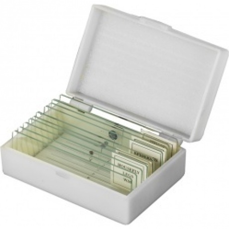 Микропрепараты Микромед 5 образцов+5 предм.стёкол (стекло)
Микропрепараты Микромед 5 образцов+5 предм.стёкол (стекло)