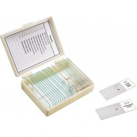 Набор препаратов Микромед "Зоология" (11 обр. для школы)
Набор препаратов Микромед "Зоология" (11 обр. для школы)