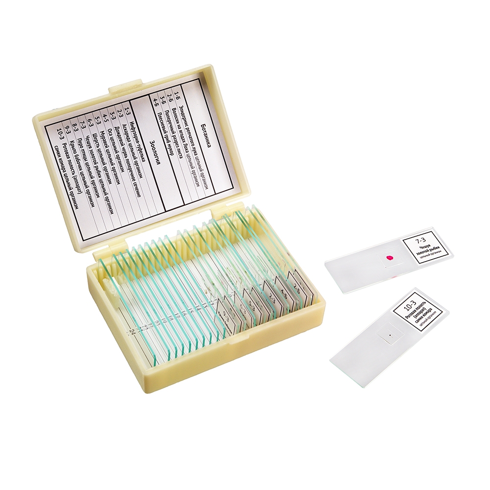 Набор препаратов Микромед "Ботаника и зоология" (14 обр
Набор препаратов Микромед "Ботаника и зоология" (14 обр