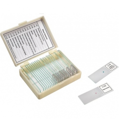 Набор препаратов Микромед "Общая биология" (14 обр.)
Набор препаратов Микромед "Общая биология" (14 обр.)