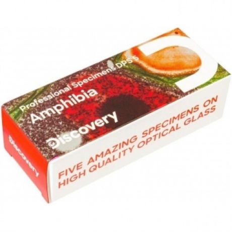 Набор микропрепаратов Levenhuk Discovery Prof DPS 5. «Амфибия»
Набор микропрепаратов Levenhuk Discovery Prof DPS 5. «Амфибия»