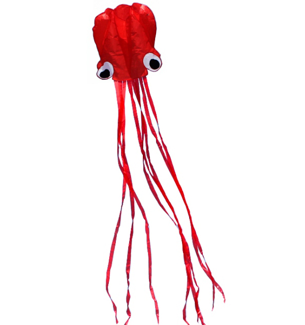 Воздушный змей Осьминог 400см H1942
Воздушный змей Осьминог 400см H1942