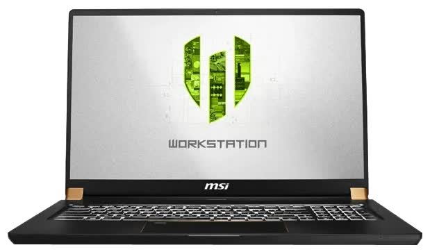 Ноутбук MSI WS75 9TL-1052RU (9S7-17G121-1052, Черный
Ноутбук MSI WS75 9TL-1052RU (9S7-17G121-1052, Черный
