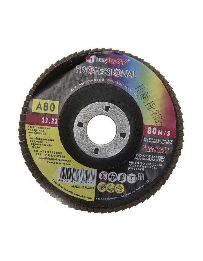 Круг лепестковый торцевой Луга 180 x 22,2 тип КЛТ1 Р80 3656-180-80
Круг лепестковый торцевой Луга 180 x 22,2 тип КЛТ1 Р80 3656-180-80