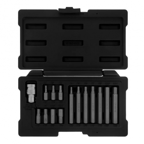 Набор бит HEX, шестигранный хвостовик 1/2'', CrV, 10 мм, 15 предметов Stels
Набор бит HEX, шестигранный хвостовик 1/2'', CrV, 10 мм, 15 предметов Stels