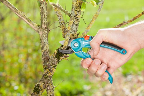 Секатор контактный Gardena A/S (08855-20.000.00) зеленый/черный
Секатор контактный Gardena A/S (08855-20.000.00) зеленый/черный