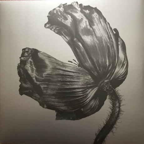 Pet Shop Boys - Release (Remastered) (0190295944049) виниловая пластинка
Pet Shop Boys - Release (Remastered) (0190295944049) виниловая пластинка