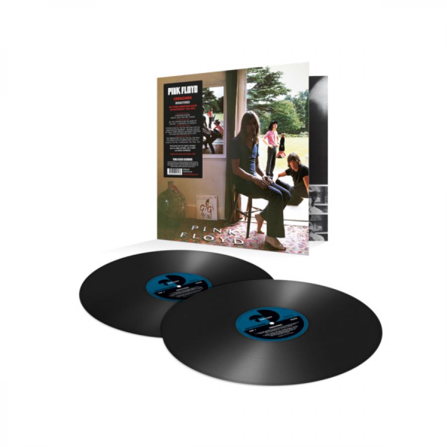 Виниловая пластинка Pink Floyd, Ummagumma (Remastered) (0825646493166)
Виниловая пластинка Pink Floyd, Ummagumma (Remastered) (0825646493166)