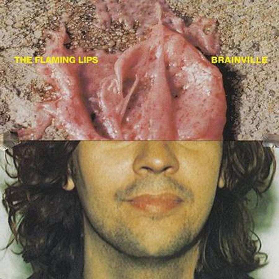 Виниловая пластинка Flaming Lips, The, Brainville Ep
Виниловая пластинка Flaming Lips, The, Brainville Ep
