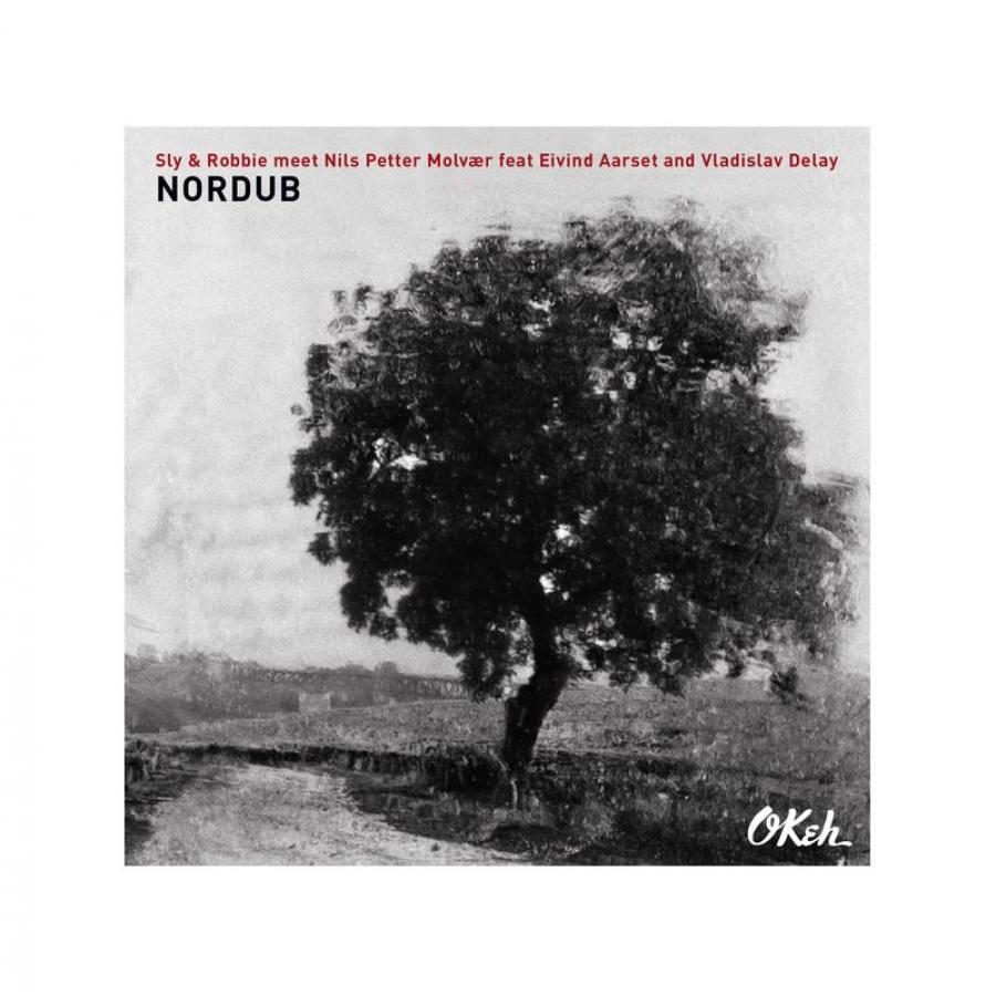 Виниловая пластинка Sly & Robbie / Molvaer, Nils Petter / Aarset, Eivind / Delay, Vladislav, Nordub (0889854063412
Виниловая пластинка Sly & Robbie / Molvaer, Nils Petter / Aarset, Eivind / Delay, Vladislav, Nordub (0889854063412