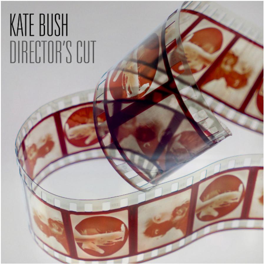 Виниловая пластинка Kate Bush, Director'S Cut (0190295593803)
Виниловая пластинка Kate Bush, Director'S Cut (0190295593803)