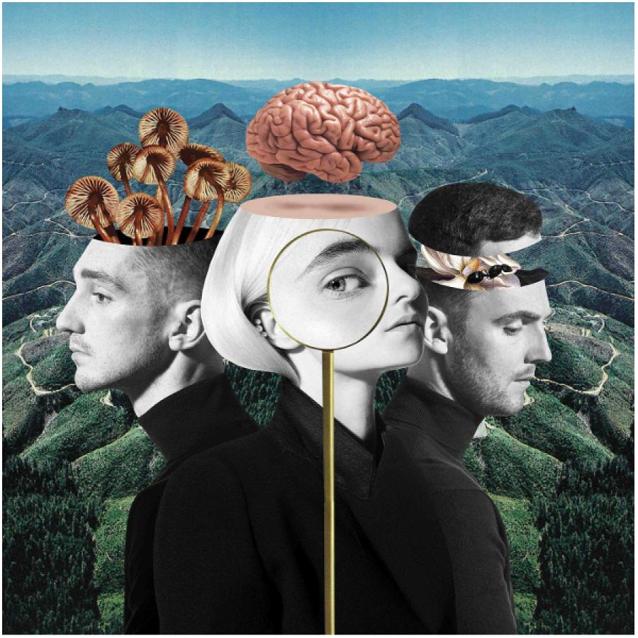 Виниловая пластинка Clean Bandit, What Is Love (0190295552565
Виниловая пластинка Clean Bandit, What Is Love (0190295552565