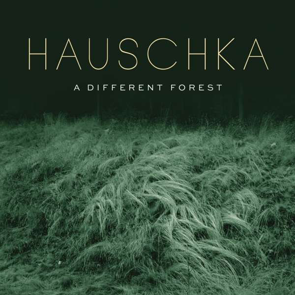 Виниловая пластинка Hauschka, A Different Forest (0190758424217)
Виниловая пластинка Hauschka, A Different Forest (0190758424217)