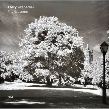 Larry Grenadier - The Gleaners (0602577064227) виниловая пластинка
Larry Grenadier - The Gleaners (0602577064227) виниловая пластинка