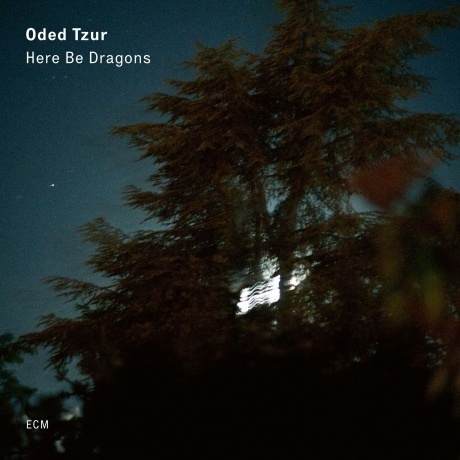 Oded Tzur - Here Be Dragons (0602508474262) виниловая пластинка
Oded Tzur - Here Be Dragons (0602508474262) виниловая пластинка