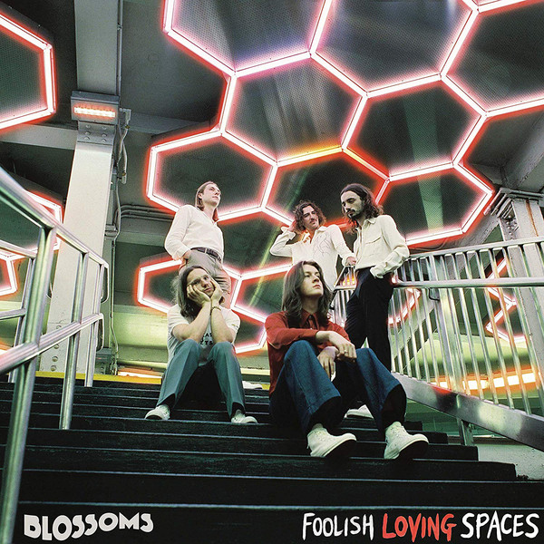 Виниловая пластинка Blossoms, Foolish Loving Spaces (0602508308420
Виниловая пластинка Blossoms, Foolish Loving Spaces (0602508308420