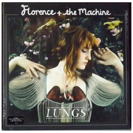 Florence And The Machine - Lungs (0602527091068) виниловая пластинка
Florence And The Machine - Lungs (0602527091068) виниловая пластинка