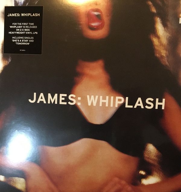 Виниловая пластинка James, Whiplash (0602557129137
Виниловая пластинка James, Whiplash (0602557129137