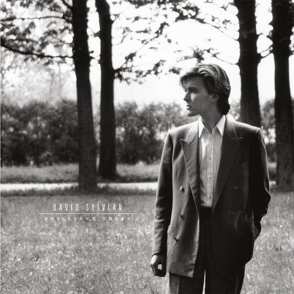 Виниловая пластинка David Sylvian, Brilliant Trees (0602567953326
Виниловая пластинка David Sylvian, Brilliant Trees (0602567953326