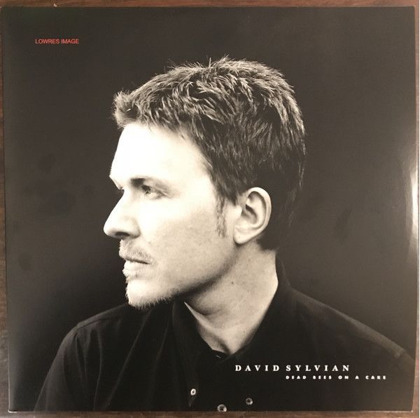 Виниловая пластинка David Sylvian, Dead Bees On A Cake (0602567152439)
Виниловая пластинка David Sylvian, Dead Bees On A Cake (0602567152439)