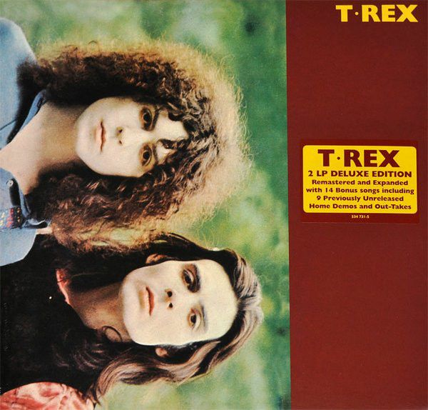 Виниловая пластинка T. Rex, T. Rex (0600753473153
Виниловая пластинка T. Rex, T. Rex (0600753473153