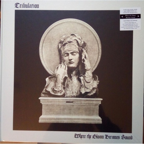 Tribulation - Where The Gloom Becomes Sound (coloured) (0194398364315) виниловая пластинка
Tribulation - Where The Gloom Becomes Sound (coloured) (0194398364315) виниловая пластинка