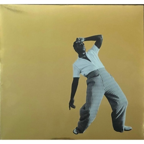 Leon Bridges - Gold-Diggers Sound (0194398869919) виниловая пластинка
Leon Bridges - Gold-Diggers Sound (0194398869919) виниловая пластинка