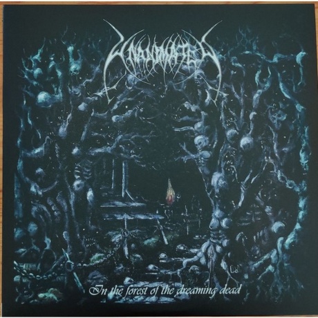 Unanimated - In The Forest Of The Dreaming Dead (0194398100715) виниловая пластинка
Unanimated - In The Forest Of The Dreaming Dead (0194398100715) виниловая пластинка