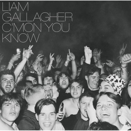 Liam Gallagher - C’mon You Know (coloured) (0190296396878) виниловая пластинка
Liam Gallagher - C’mon You Know (coloured) (0190296396878) виниловая пластинка