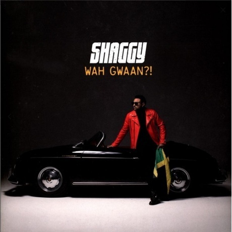 Shaggy - Wah Gwaan! (0602577903700) виниловая пластинка
Shaggy - Wah Gwaan! (0602577903700) виниловая пластинка