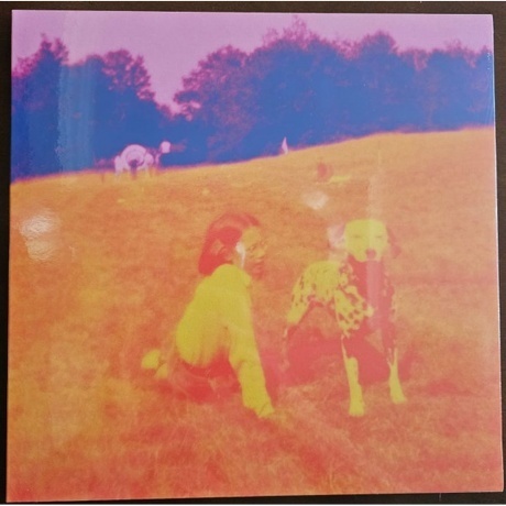 Eels - Blinking Lights And Other Revelations (coloured) (5400863128203) виниловая пластинка
Eels - Blinking Lights And Other Revelations (coloured) (5400863128203) виниловая пластинка
