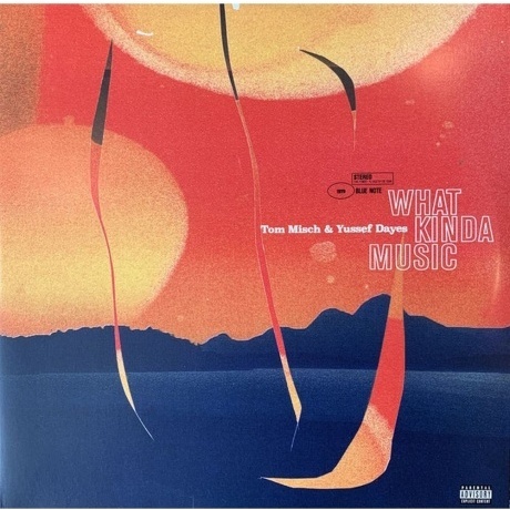 Tom Misch; Yussef Dayes - What Kinda Music (0842812123108) виниловая пластинка
Tom Misch; Yussef Dayes - What Kinda Music (0842812123108) виниловая пластинка