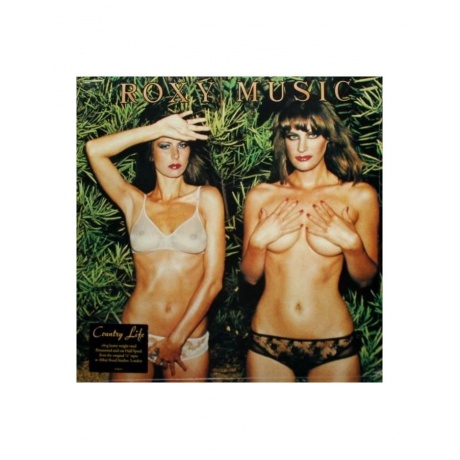 Roxy Music - Country Life (Half Speed) (0602507460242) виниловая пластинка
Roxy Music - Country Life (Half Speed) (0602507460242) виниловая пластинка
