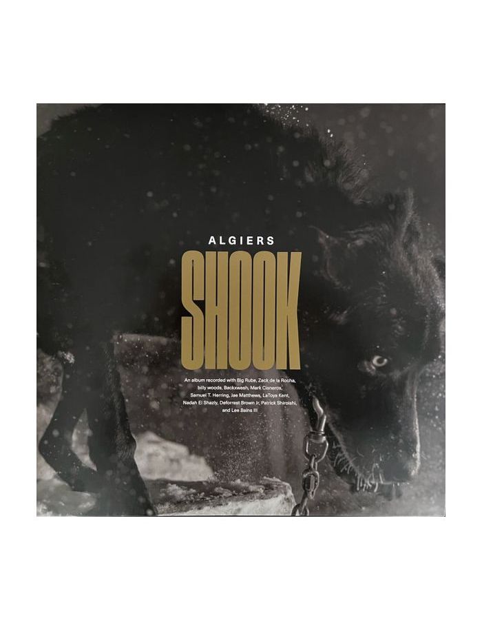 Виниловая пластинка Algiers, Shook (0191401178419)
Виниловая пластинка Algiers, Shook (0191401178419)