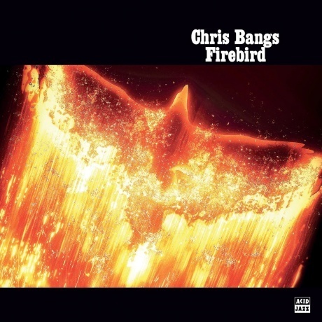 Chris Bangs - Firebird (0676499066157) виниловая пластинка
Chris Bangs - Firebird (0676499066157) виниловая пластинка