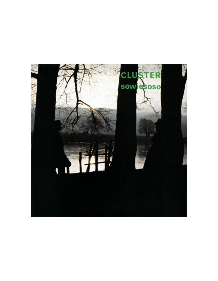 Виниловая пластинка Cluster, Sowiesoso (4047179374217)
Виниловая пластинка Cluster, Sowiesoso (4047179374217)