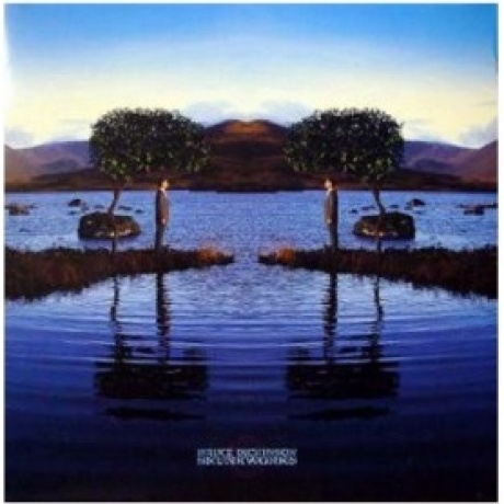 Bruce Dickinson - Skunkworks (4050538288384) виниловая пластинка
Bruce Dickinson - Skunkworks (4050538288384) виниловая пластинка