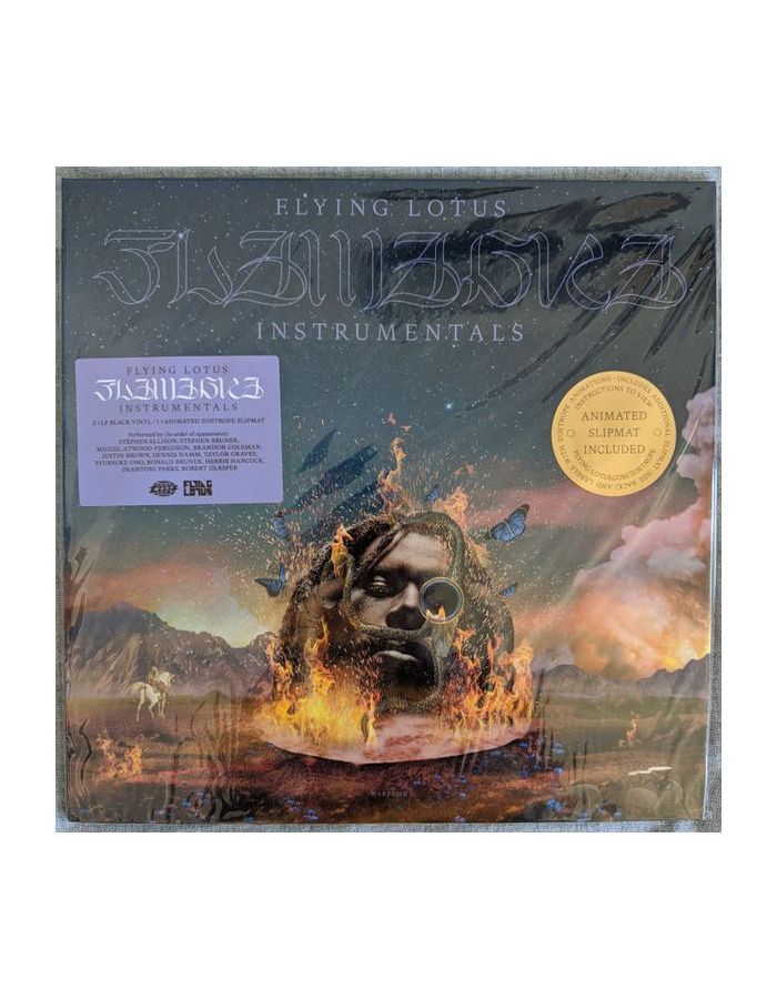 Виниловая пластинка Flying Lotus, Flamagra (0801061106515)
Виниловая пластинка Flying Lotus, Flamagra (0801061106515)