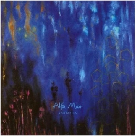 Alfa Mist - Variables (8714092795110) виниловая пластинка
Alfa Mist - Variables (8714092795110) виниловая пластинка