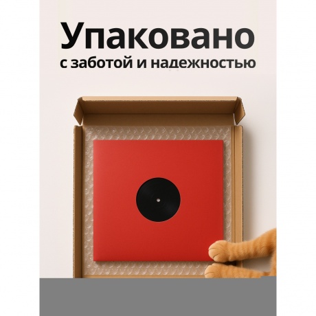 My Dying Bride - Songs Of Darkness Words Of Light (0801056851819) виниловая пластинка
My Dying Bride - Songs Of Darkness Words Of Light (0801056851819) виниловая пластинка